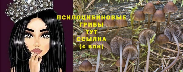 синтетический гашиш Алексин