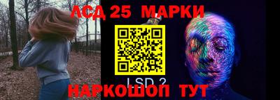 гашик Гусев