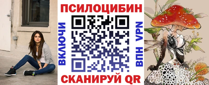 Псилоцибиновые грибы MAGIC MUSHROOMS  закладки  блэк спрут   Новоалександровск 