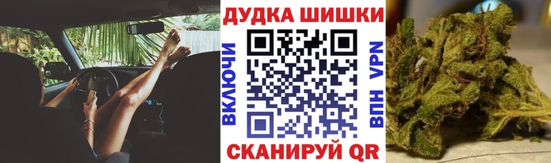 цены наркотик  Новоалександровск  Шишки марихуана White Widow 