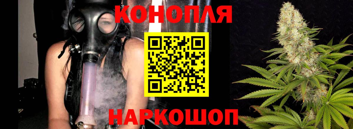 Шишки марихуана план Новоалександровск